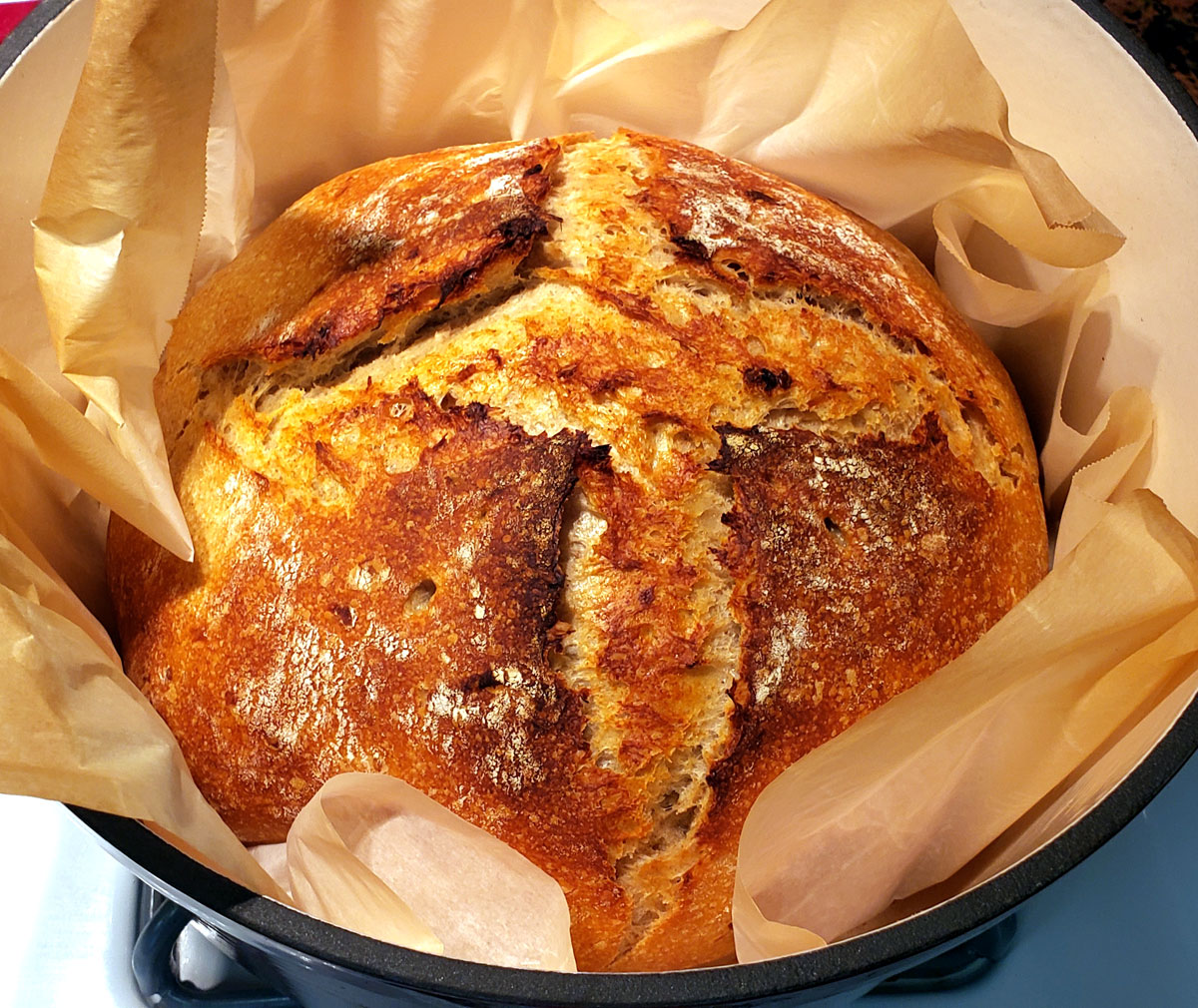 baked sourdough bread in a dutch oven