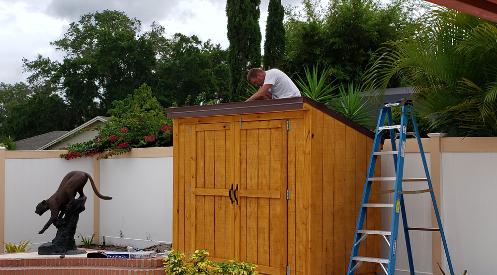 stained shed Mike on roof