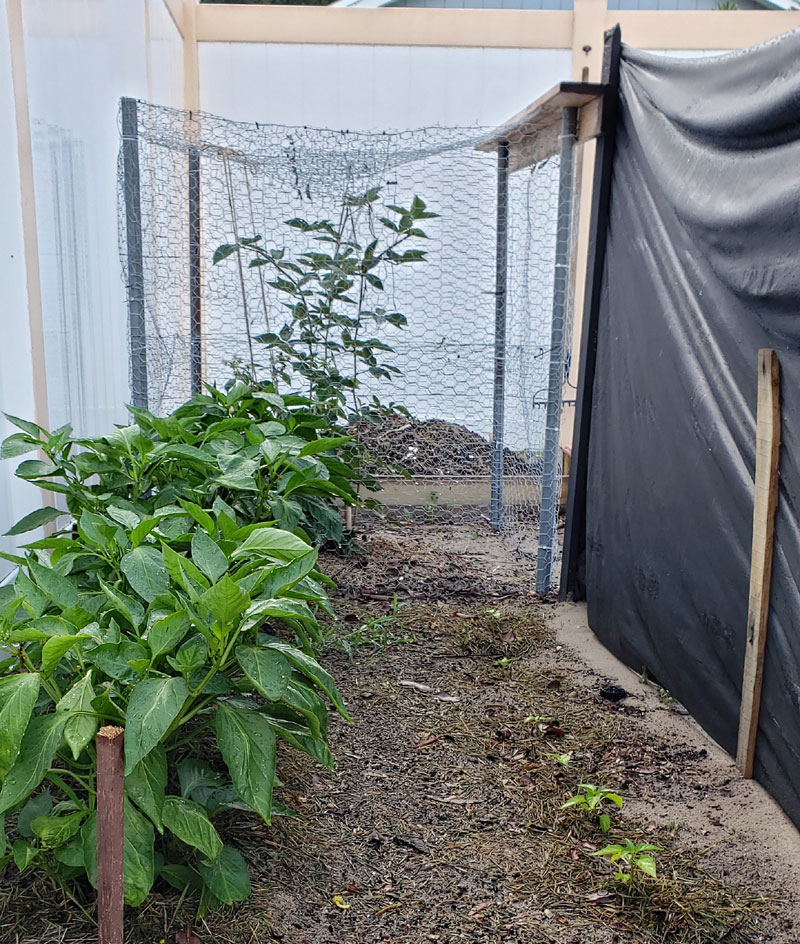 pepper shade screen