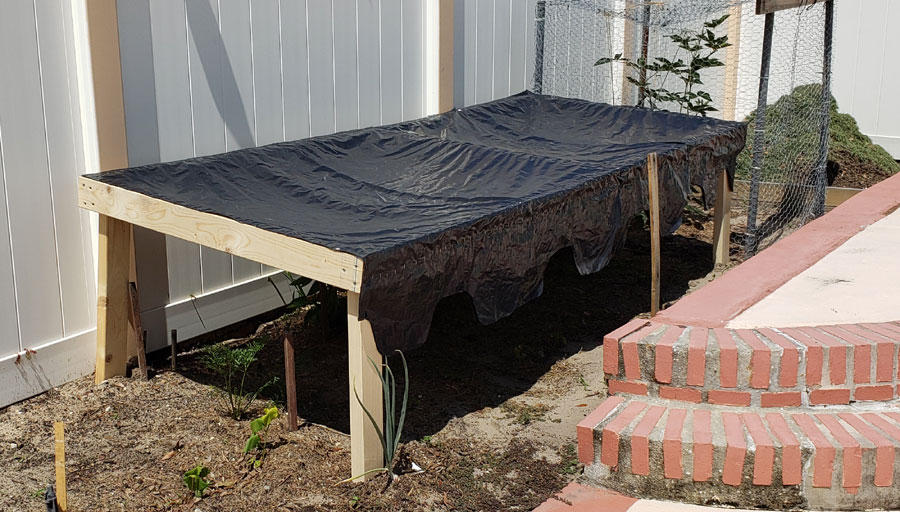 shade for pepper plants