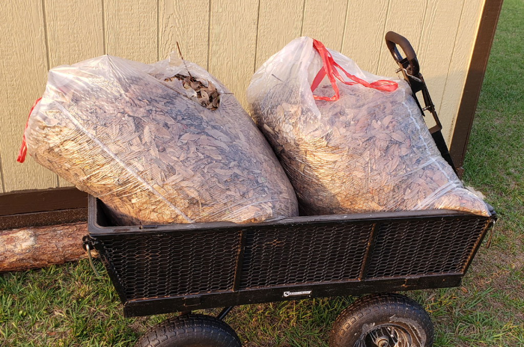 2 clear bags of leaf litter sitting in a hand cart, ready for composting.