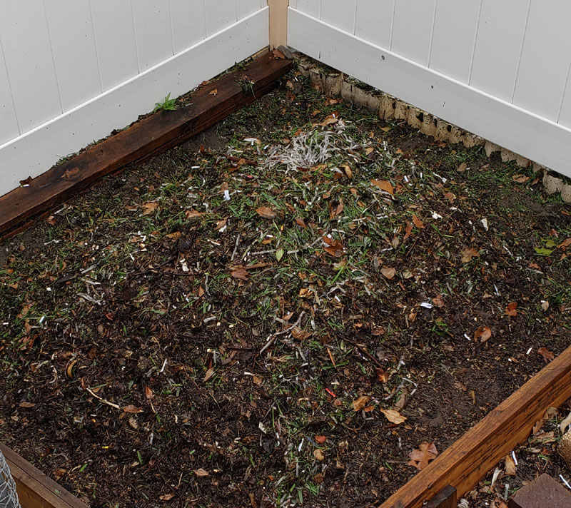 compost pile