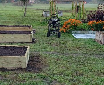 New raised bed gardens on a grassy mowed area.