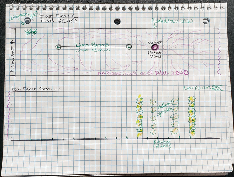 sketch fall garden plans