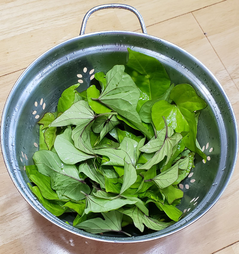 sweet potato greens in colander