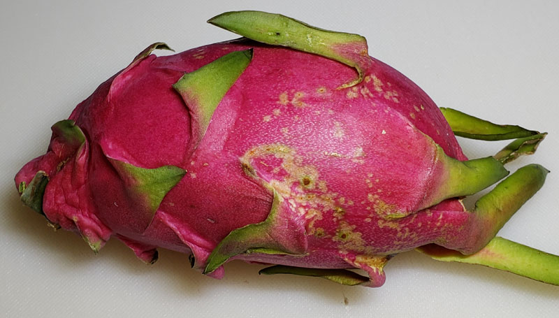 dragon fruit