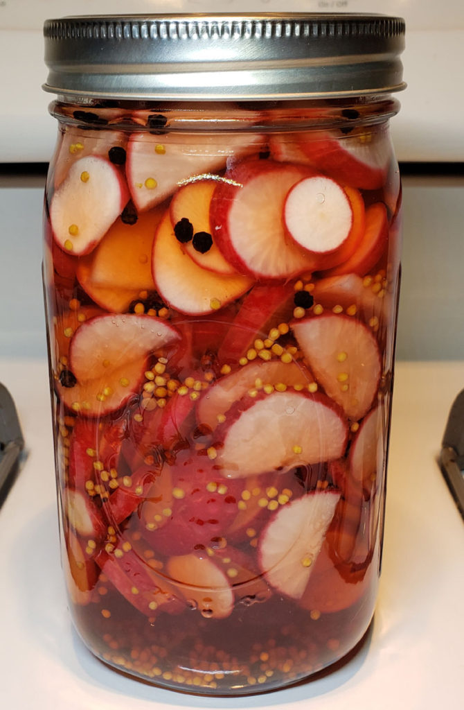 jar of pickled radishes