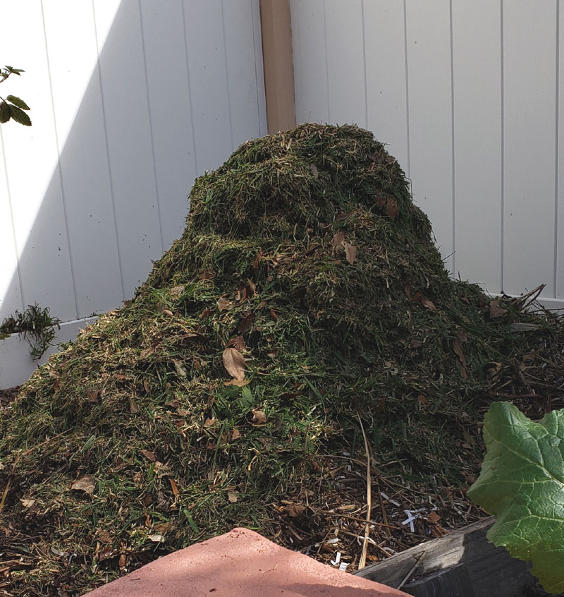 lawn clippings in compost pile