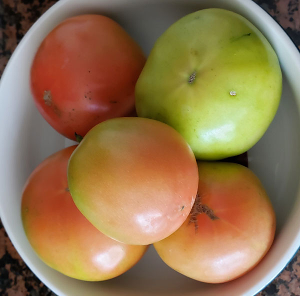 bowl of half-ripe tomatoes