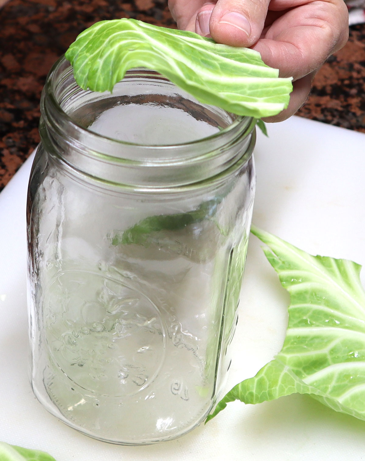 leaf of cabbage cut in a circle the same size as a mason jar opening