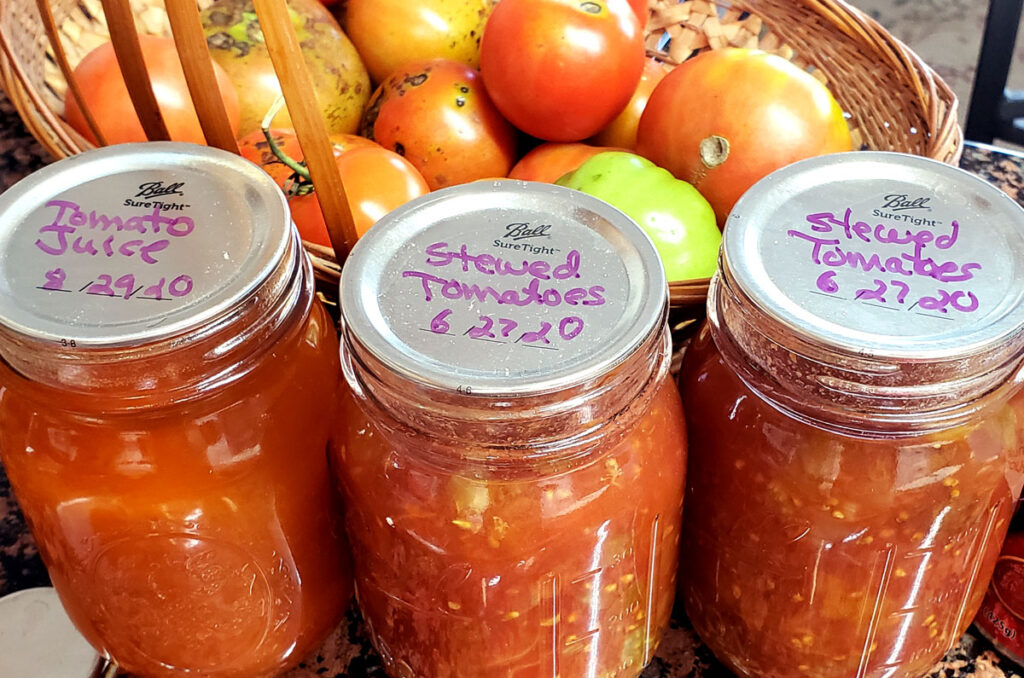 3 pint jars of canned tomatoes in front of a wicker basket of freshly picked tomatoes.