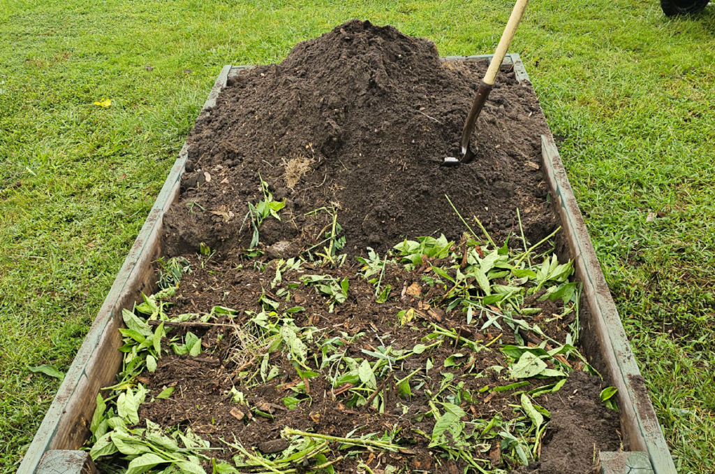 Photo of layering compost in a raised bed using the lasagana method.