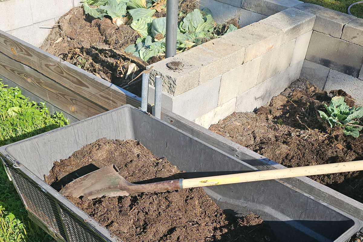 A photo of a garden cart with finished compost and a shovel in it. The cart is next to a cement block compost bin.
