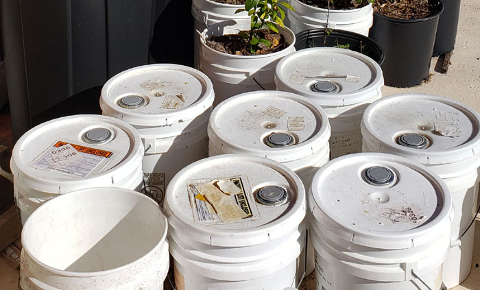 5-gallon buckets full of harvested rain water