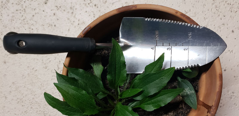 garden trowel laying across a flower pot