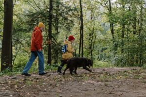 man in orange jacket and blue denim jeans walking with black short coated dog on forest