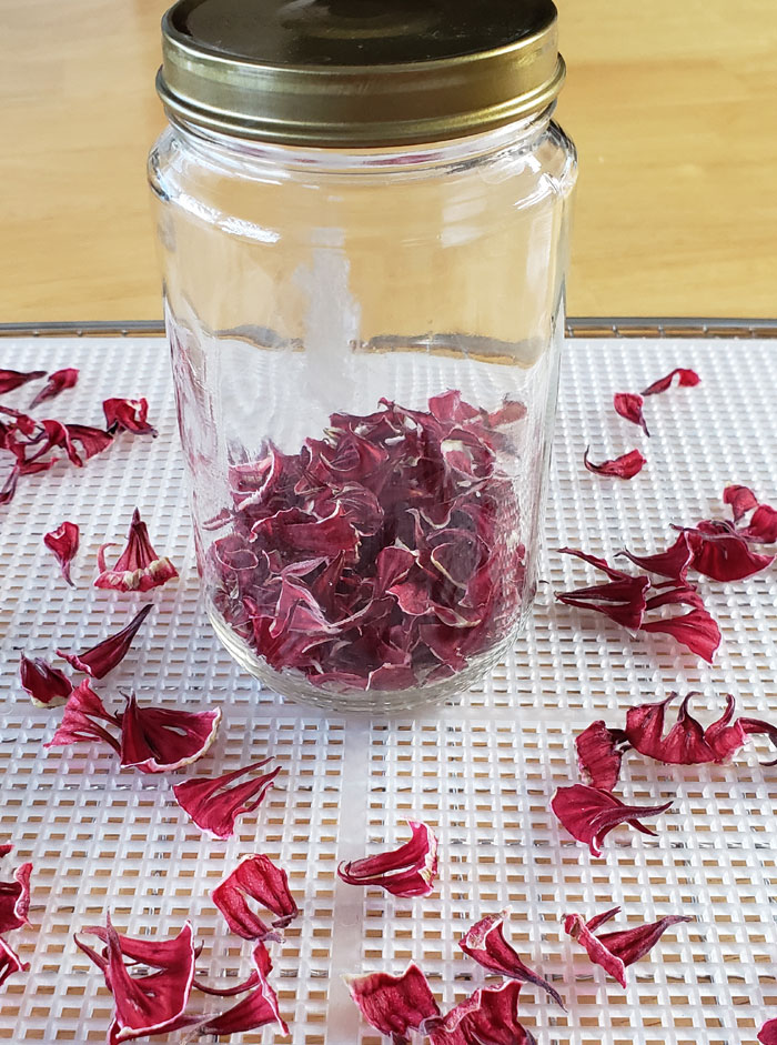 dried roselle calyxes on a mesh drying mat