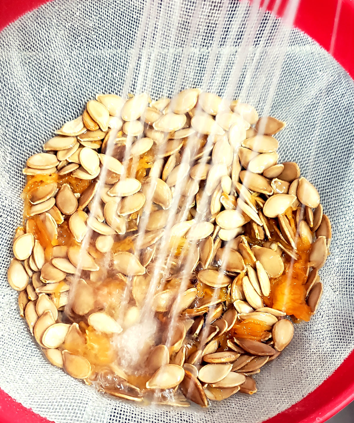 water rinsing pumpkin seeds in a fine mesh colander.