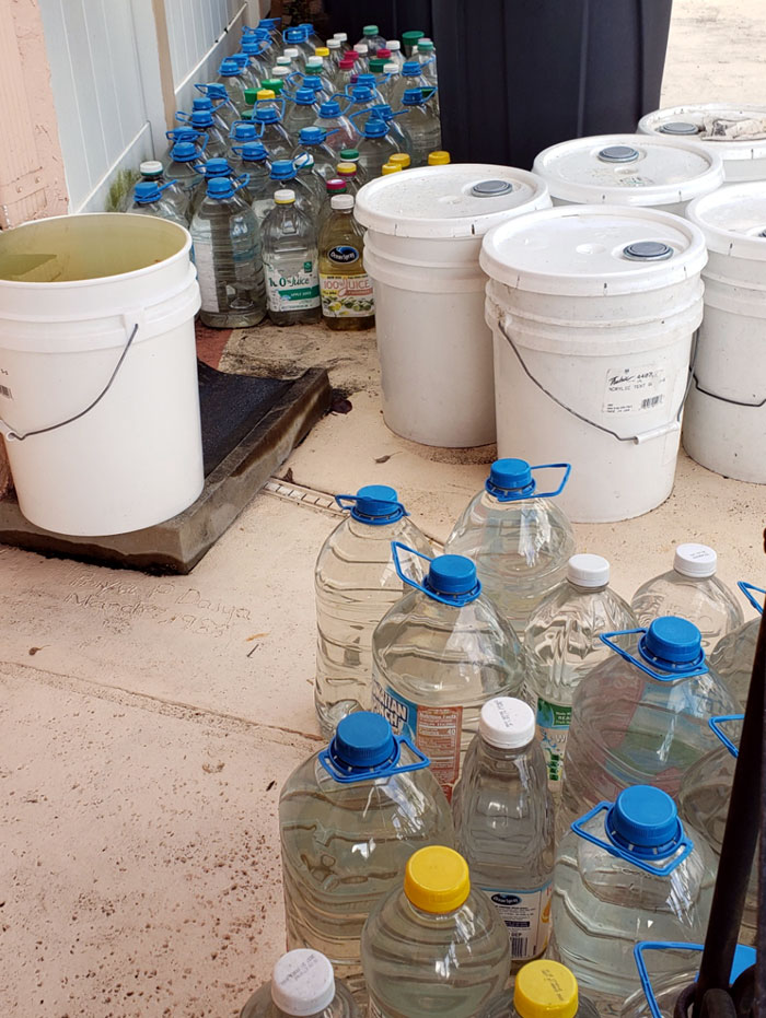 rainwater harvested in white 5-gallon buckets and 1-gallon clear plastic water jugs.