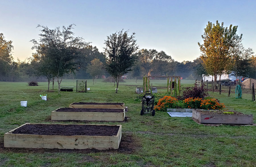 3 new garden beds alongside 2 other garden beds.