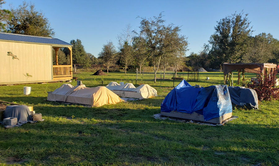 garden beds covered with blankets before the freeze.