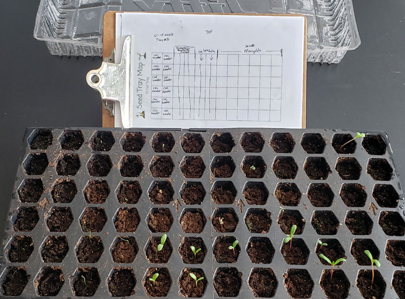 Seed-staring map for plotting where seeds are planted in a tray.