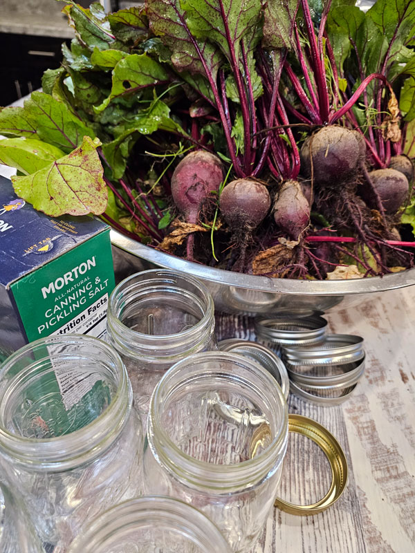 Beets, pint canning jars with rings, and salt for canning.