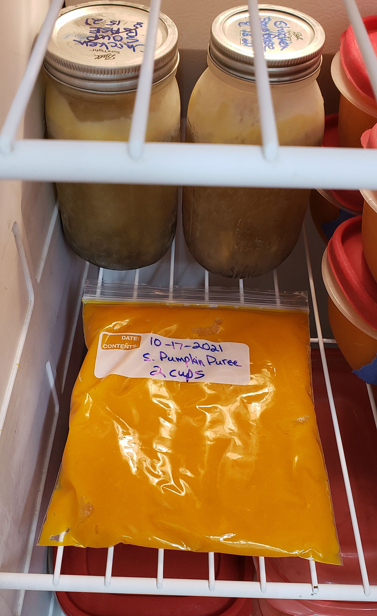 a freezer bag of squash sitting on a shelf in the freezer.