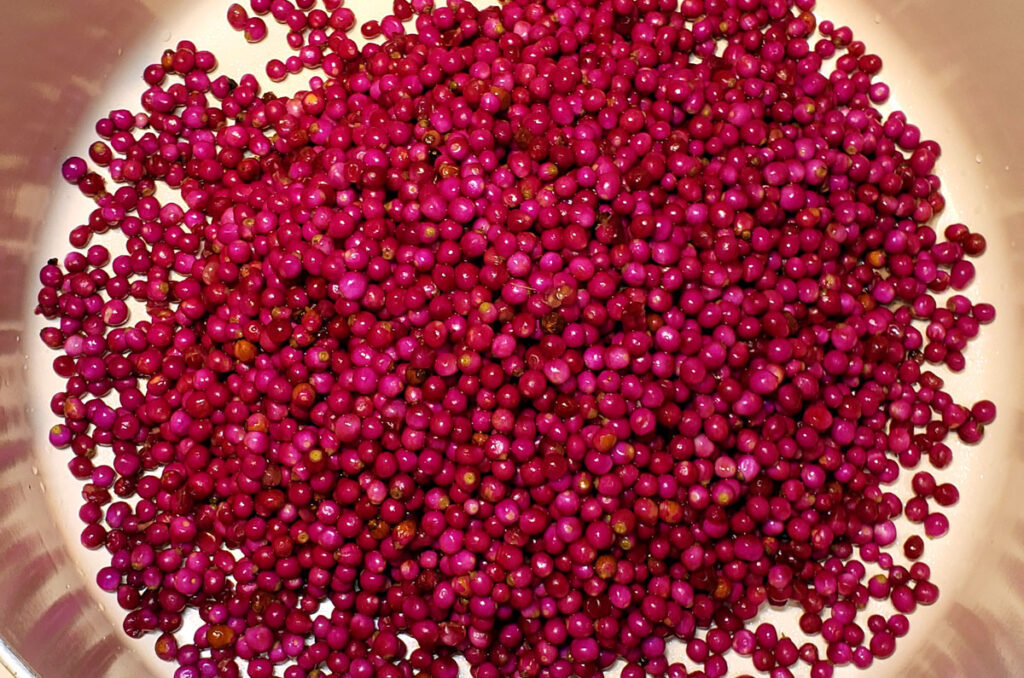 Beautyberries in a pot, ready to cook.