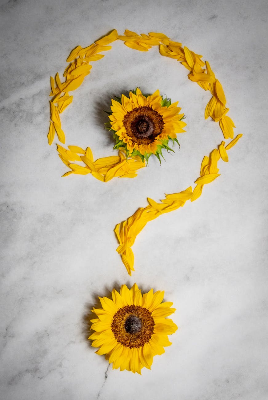 yellow flowers and petals on marble surface