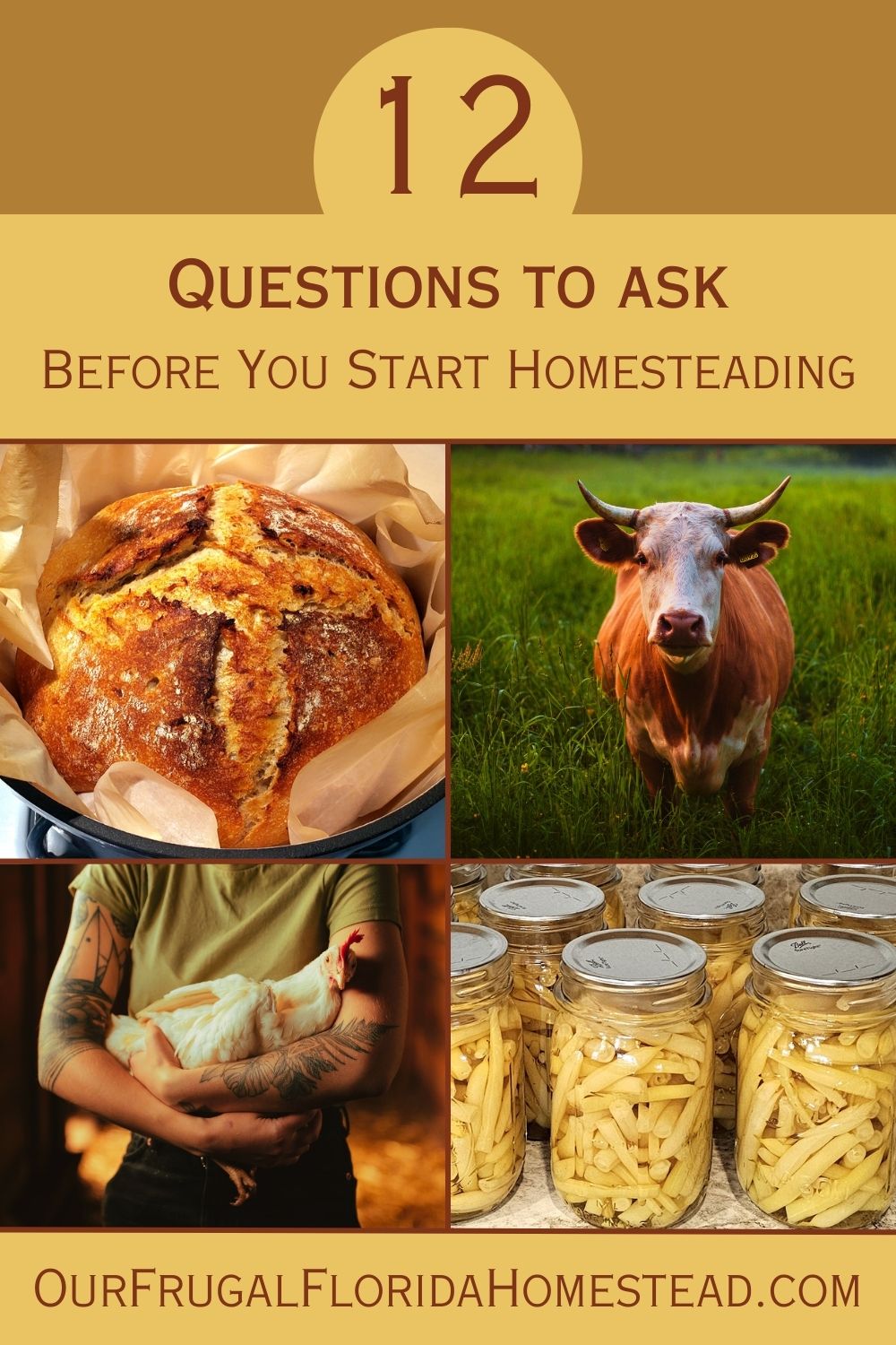 Pinterest Pin. Text: 12 Questions to ask before you start homesteading. Images: loaf of sourdough bread, a cow with horns, a man holding a chicken, jars of canned yellow string beans.