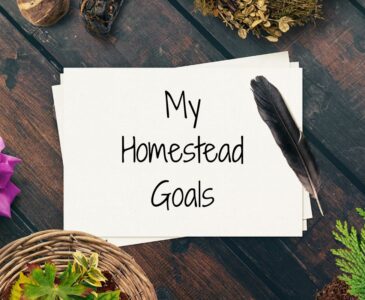 Image of pieces of paper on a table with miscelaneous nature items. Words on the paper read: My Homestead Goals.