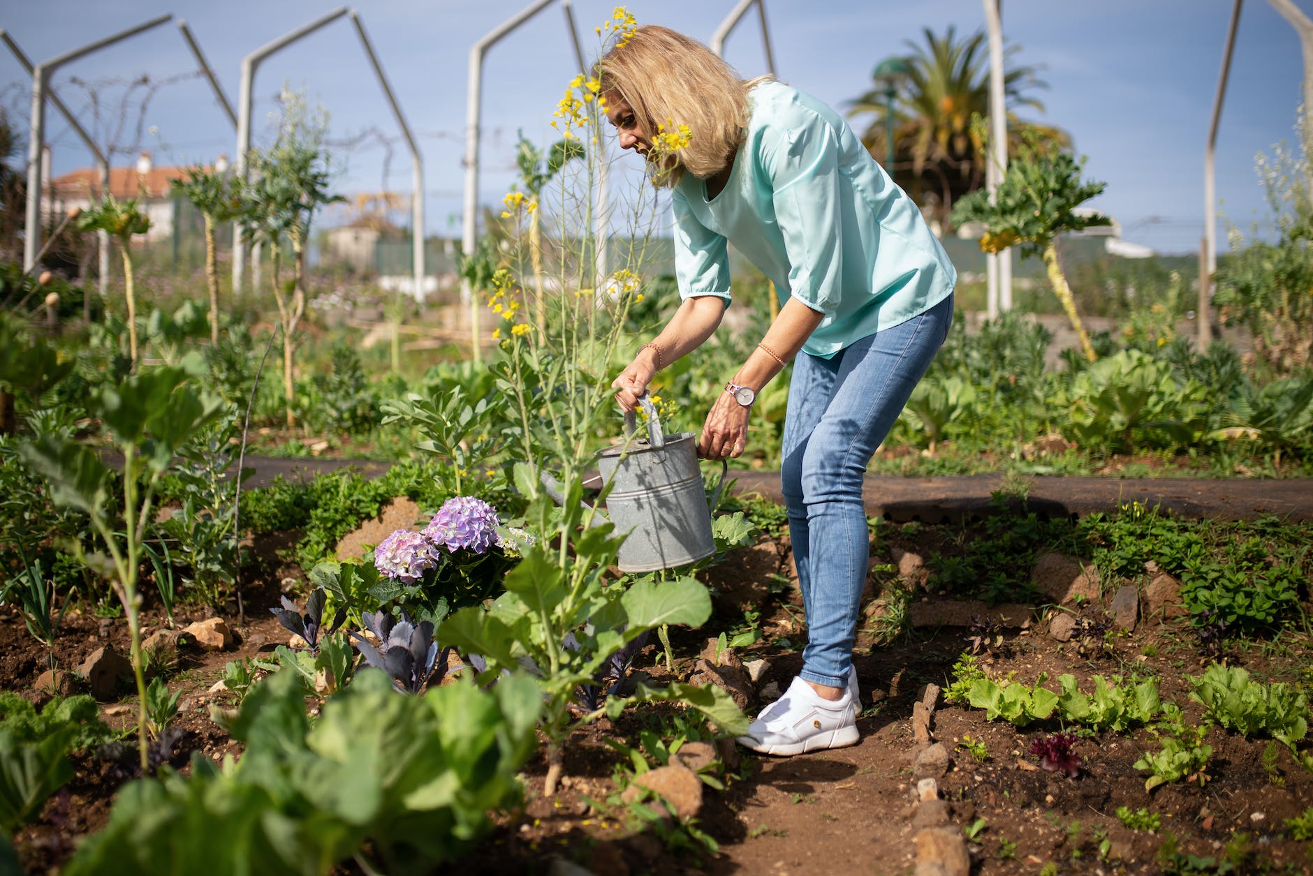 woman holding a watering can