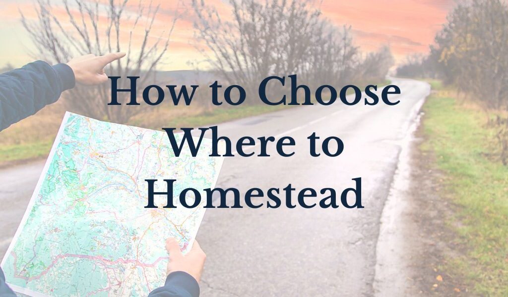 Photo of hands holding a map and pointing down a country road. Text reads: How to Choose Where to Homestead.