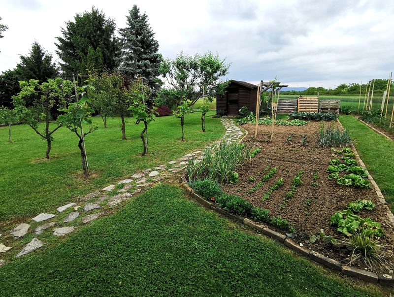 Orchard and garden in a rural homestead back yard.