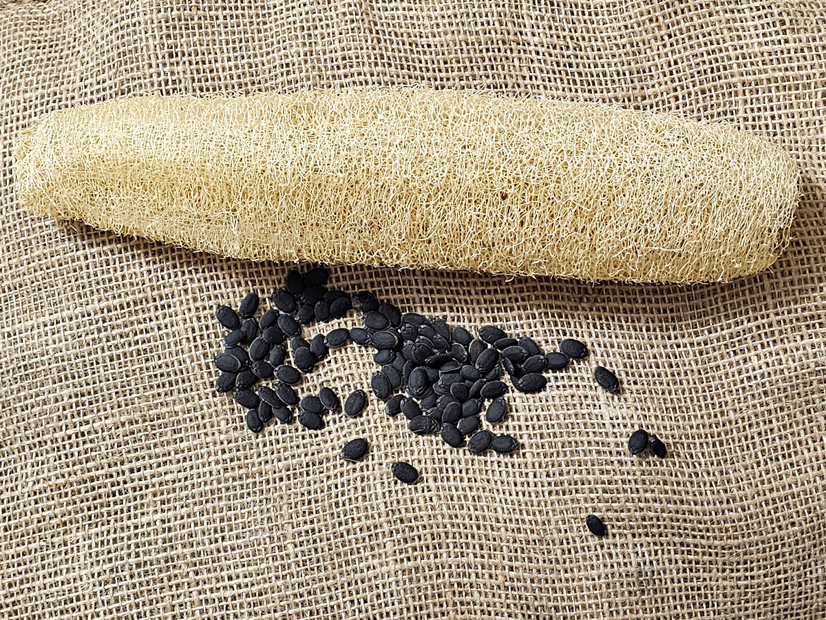 black luffa seeds and a dried luffa sponge laying on a burlap surface.