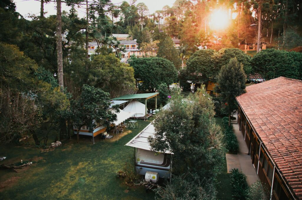 garden between houses under setting sun