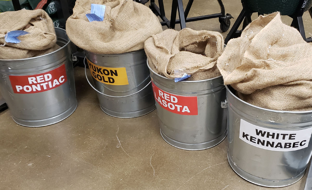 4 metal pails on a floor in a store. Each pail holds a burlap sack filled with potatoes. Each bucket is labeled with a different variety of seed potato: Red Pontiac, Yukon Gold, Red Lasota, White Kennabek. 