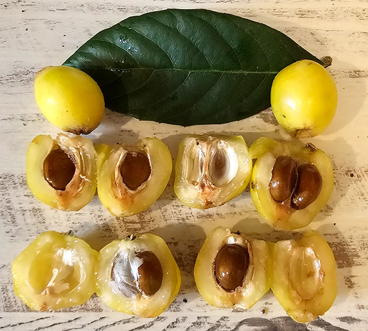 4 loquat fruit cut in half to reveal seeds and membranes. As decoration, 2 whole loquats and a loquat leaf are arranged at the top of the photo.