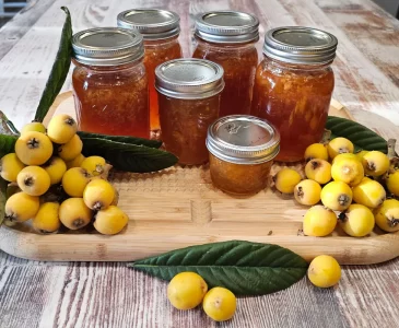 Jars of loquat jam on a tray with fresh loquats arranged around them.