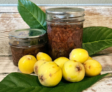 2 jars of loquat jam arranged with fresh fruit and leaves.