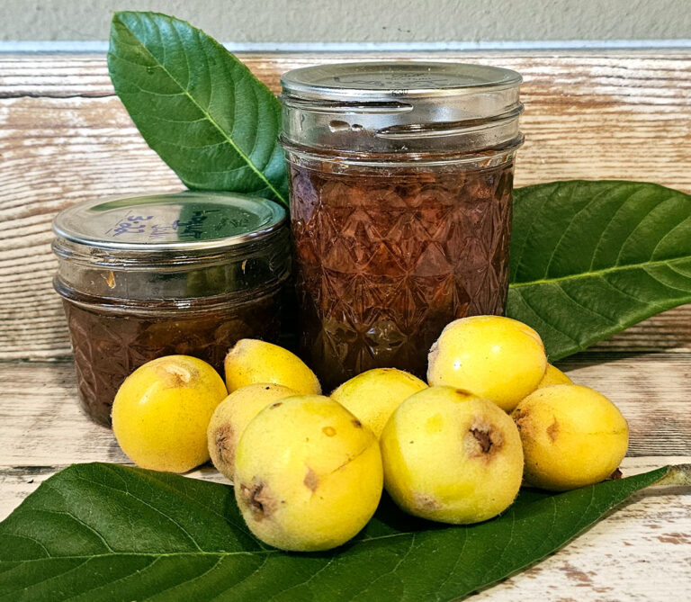 2 jars of loquat jam arranged with fresh fruit and leaves.