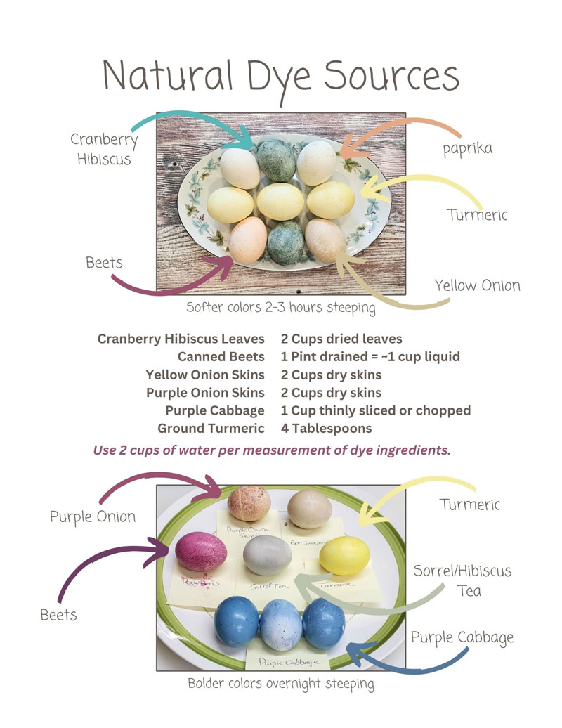 Poster showing color results of using various natural dyes for Easter eggs.