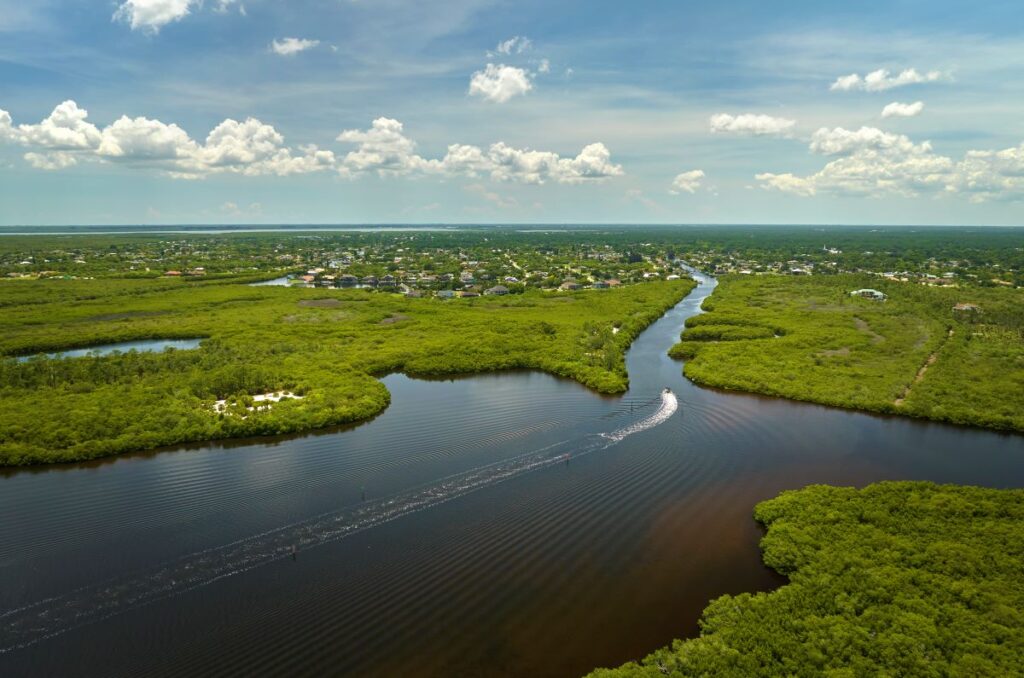 Aerial view of Florida wetlands.