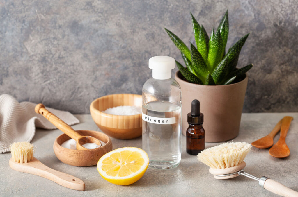 A collection of earth-friendly materials for making homemade cleaners, bottles, and a potted plant on a table to inspire one to make sustainable choices in cleaners.