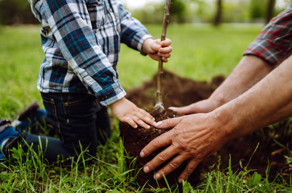 A boy kneeling and helping his grandfather plant a tree. The photo is a close up view showing their hands on the tree ready to be planted.