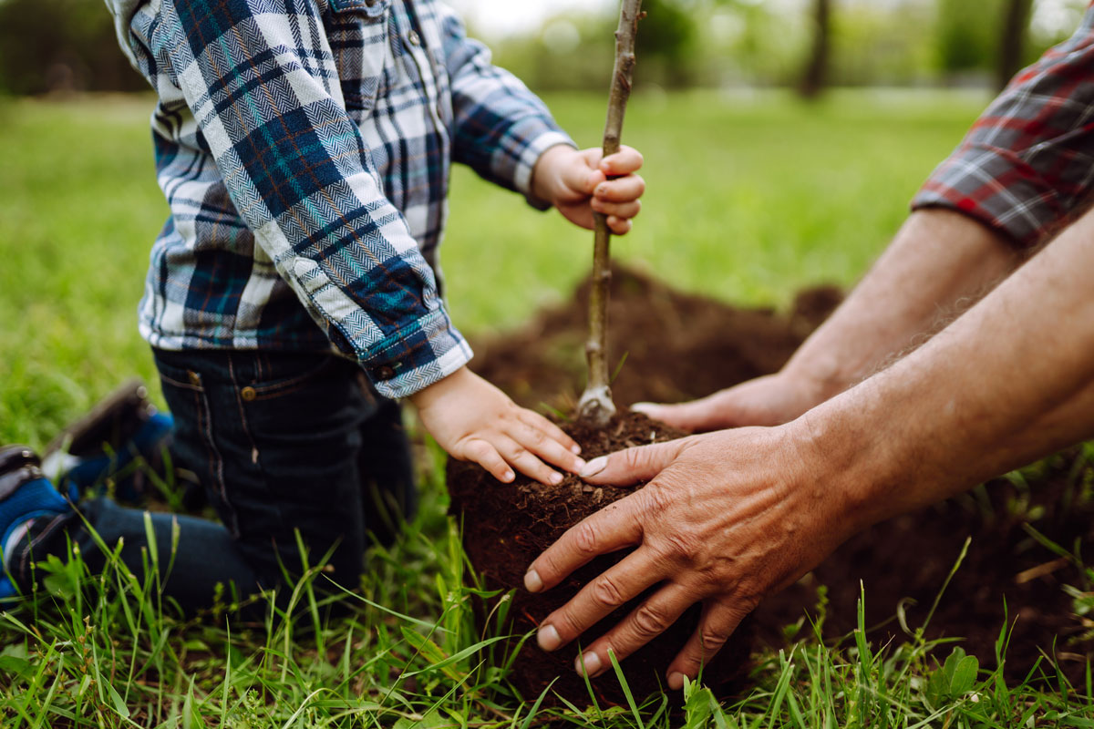 15 Earth-Friendly Homesteading Practices - Our Frugal Florida Homestead