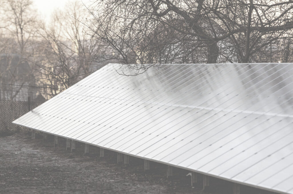 A row of solar panels with trees in the background and the sun setting.