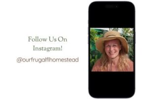 Image of the author, Alisa O'Mara on a mobile screen with the invitation to join her on Instagram @ourfrugalflhomestead