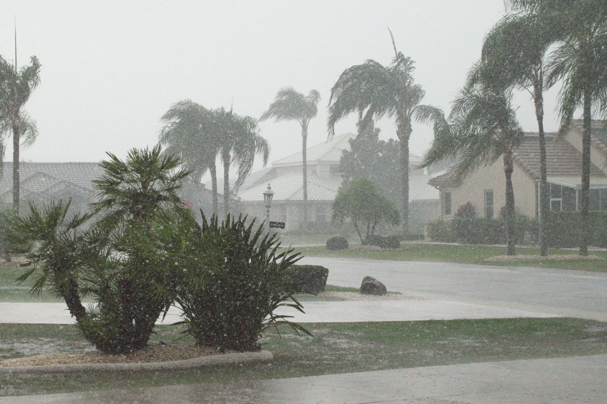 Photo of a violent storm somewhere in Florida. Palm trees swaying along a street and heavy rain.